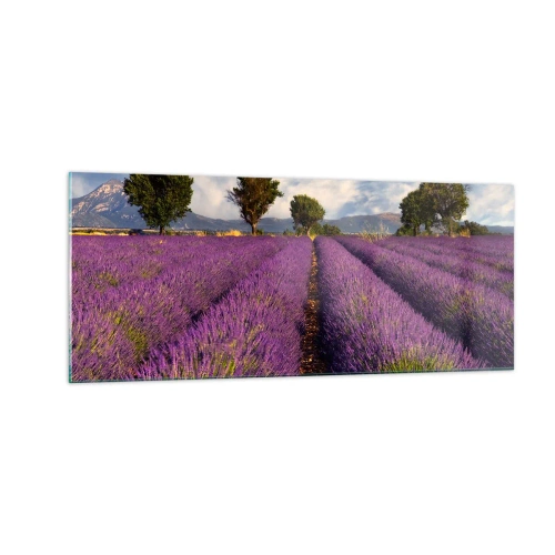 Quadro em vidro - Prados de lavanda - 100x40 cm
