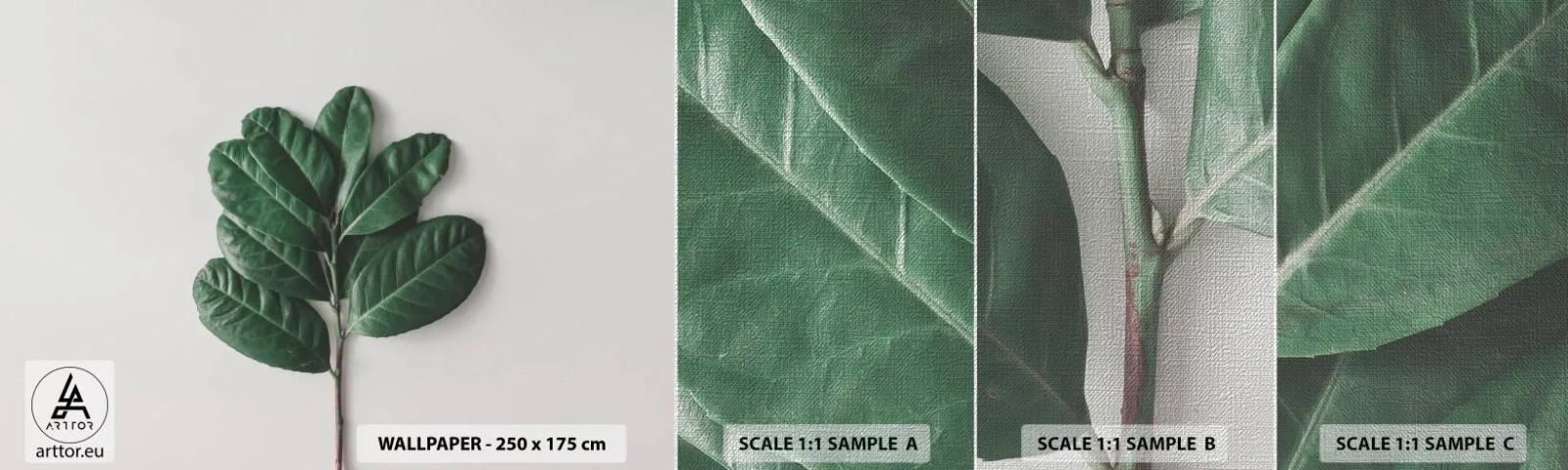 Amostra de papel de parede Premium Canvas - Desenho da própria natureza - Folhas, Plantar, Natureza - 100x30 cm