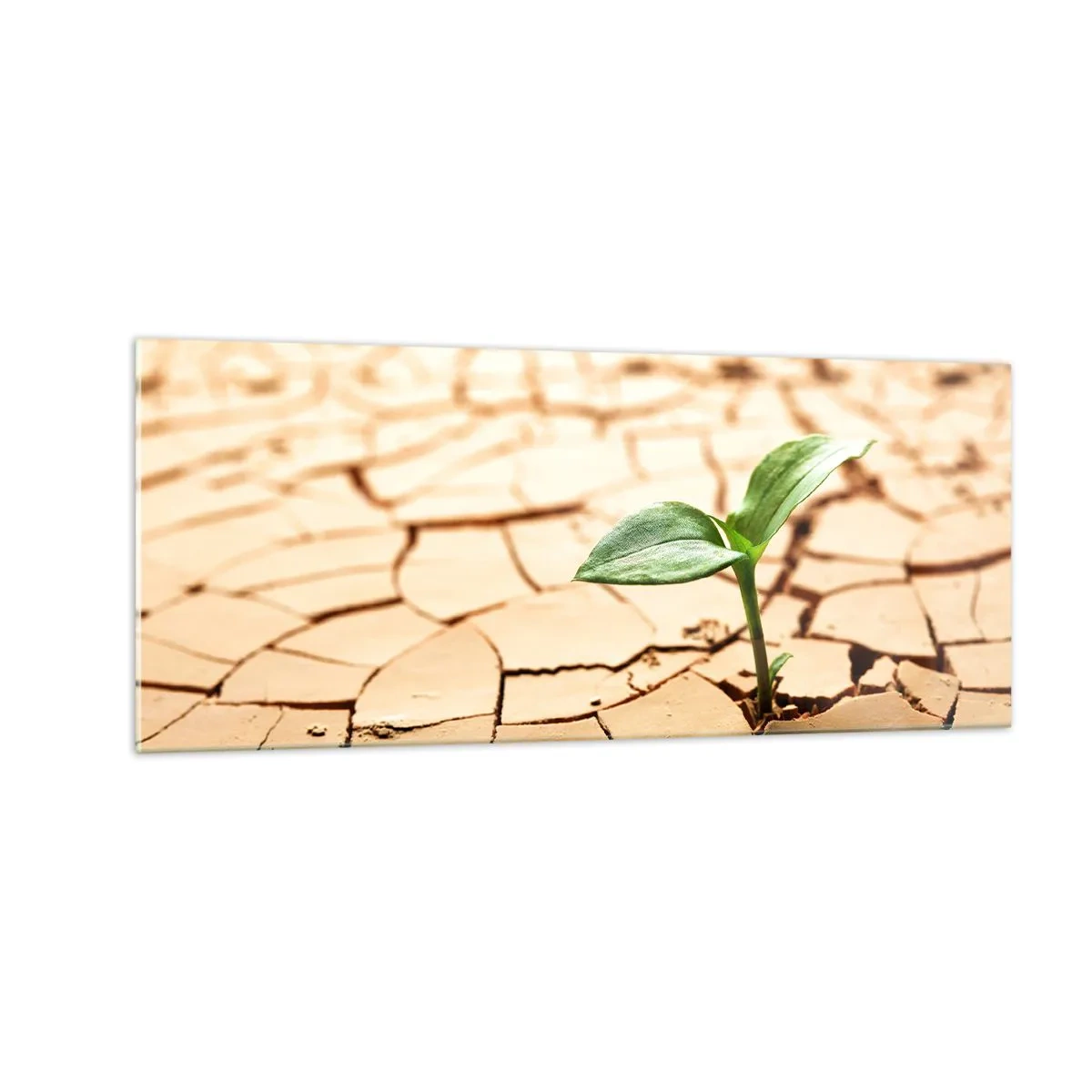 Quadro em vidro - A força indomável da vida - 100x40 cm