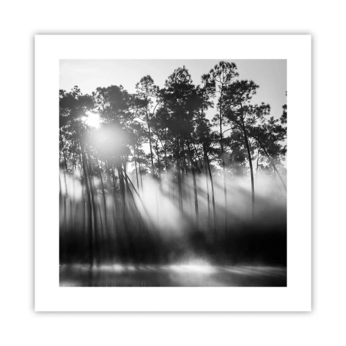 Pôster - O sol imparável - 40x40 cm