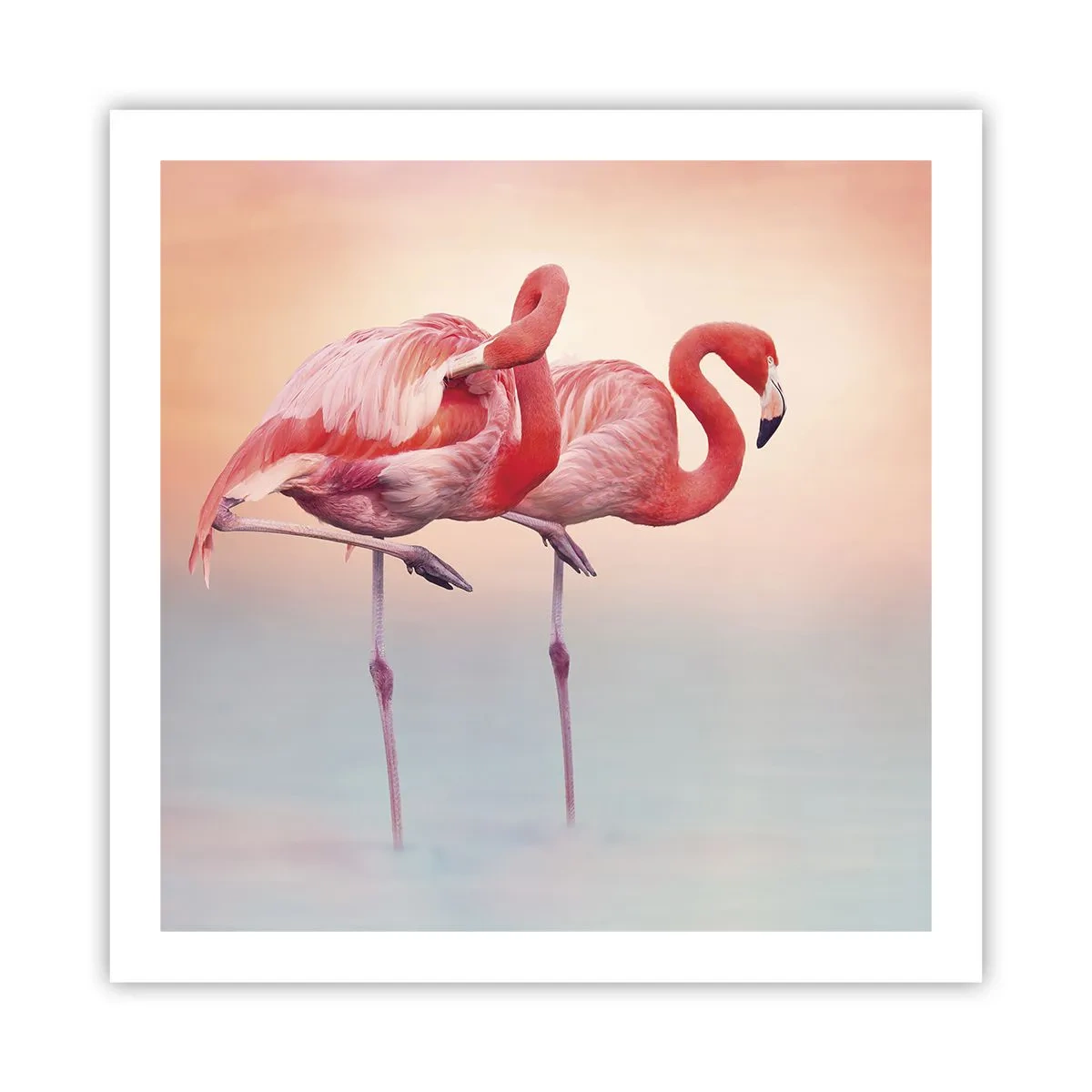 Pôster - Na cor do sol poente - 60x60 cm