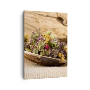 Quadro em tela - Flores coloridas e ervas aromáticas - 50x70 cm