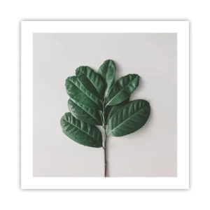 Pôster - Desenho da própria natureza - 50x50 cm