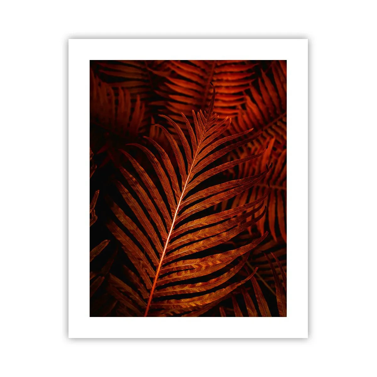 Pôster - O calor da vida - 40x50 cm