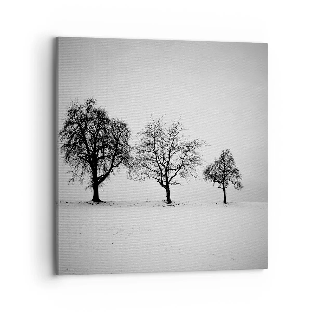 Quadro em tela - Com que sonham elas? - 70x70 cm