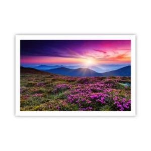 Pôster - Campo cheiroso - 91x61 cm