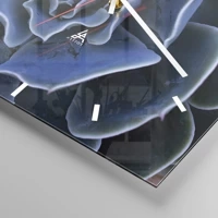 Mostrador com traços