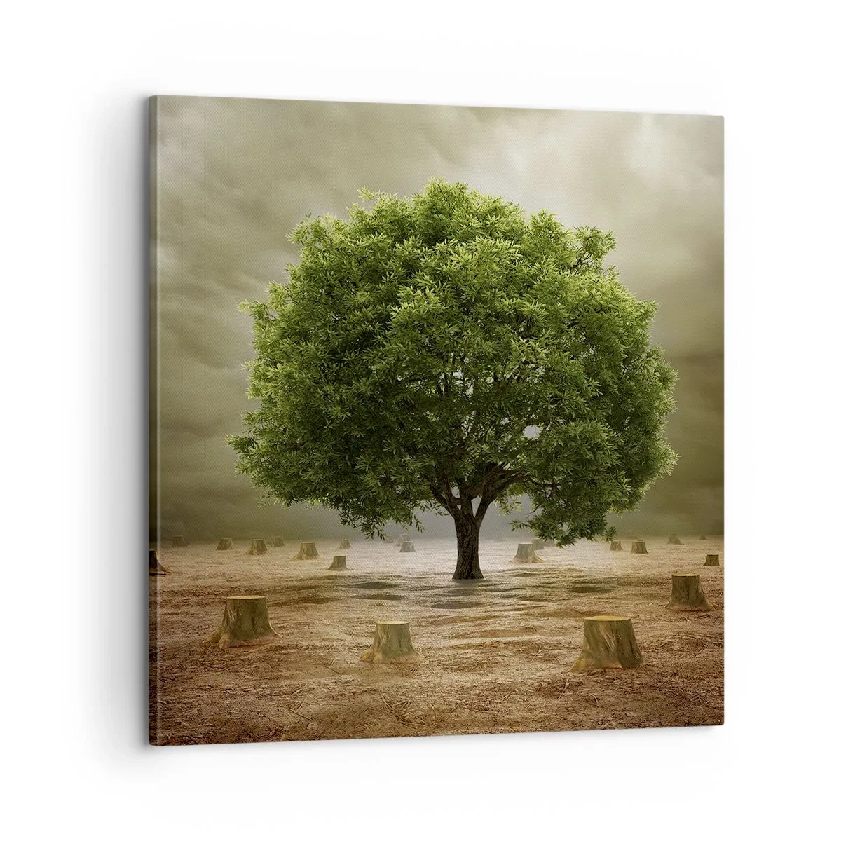 Quadro em tela - Toda a esperança - 60x60 cm