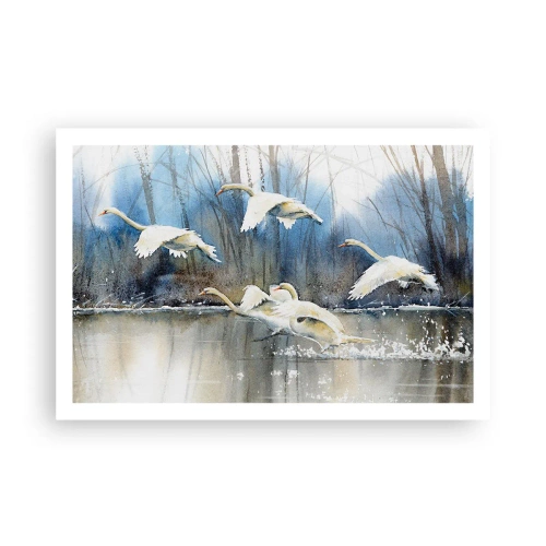 Pôster - Como no conto de fadas sobre cisnes selvagens - 91x61 cm