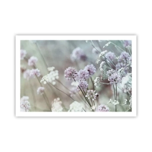 Pôster - Doce delicadeza das ervas - 91x61 cm