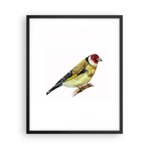 Pôster com moldura preta - Retrato de um pássaro - 40x50 cm