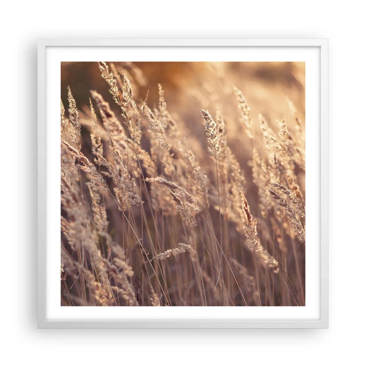 Pôster em moldura branca - Pronto para receber o outono - 60x60 cm
