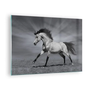 Quadro em vidro - Uma foto em preto e branco de um cavalo galopando em um campo aberto. - 70x50cm - Nascido para encantar - Decoração de parede moderna para a sala de estar e quarto ARTTOR