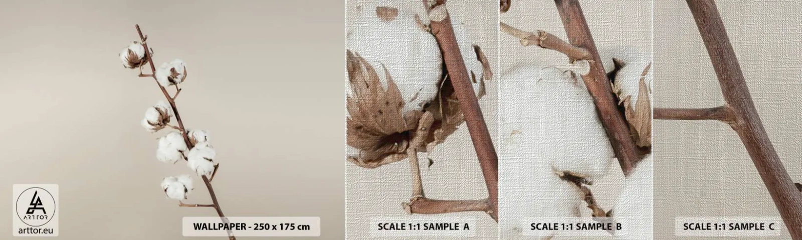 Amostra de papel de parede Premium Canvas - Na fonte da suavidade - Flor de algodão, Natureza, Algodão - 100x30 cm