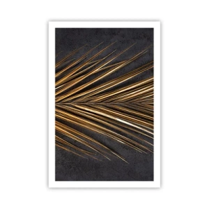 Pôster - Ouro dos trópicos - 61x91 cm