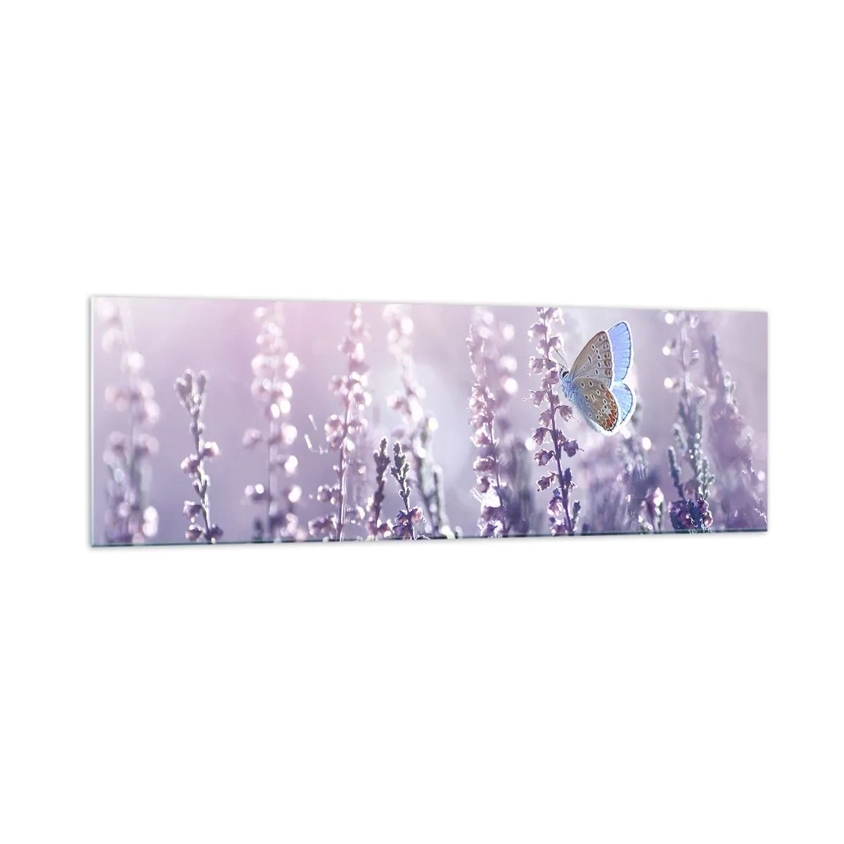 Quadro em vidro - O beijo da borboleta - 160x50 cm