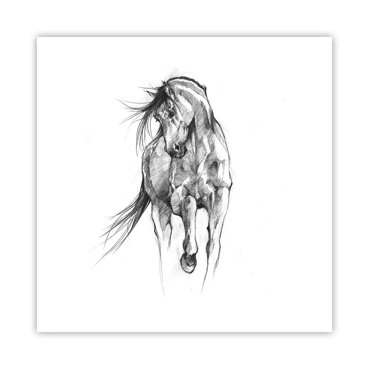Pôster - Num trote gracioso - 50x50 cm