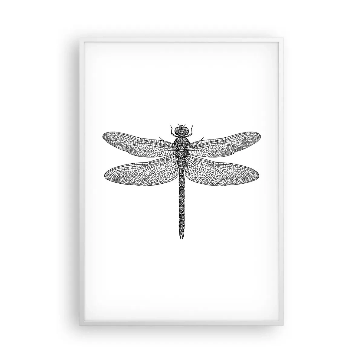 Pôster em moldura branca - Precisão da natureza - 70x100 cm