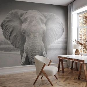 Papel de Parede Autocolante Deluxe Sticker - Bem-vindo ao meu mundo - Elefante, África, Animais - 100x70 cm