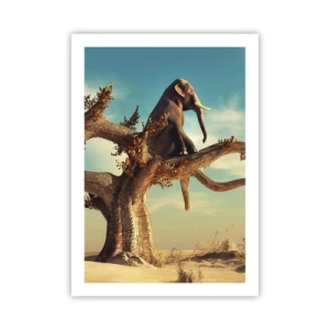 Pôster - Um novo ponto de vista - 50x70 cm