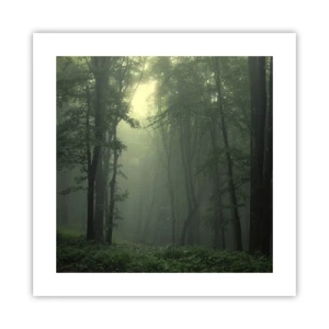 Pôster - Antes de acordar - 40x40 cm