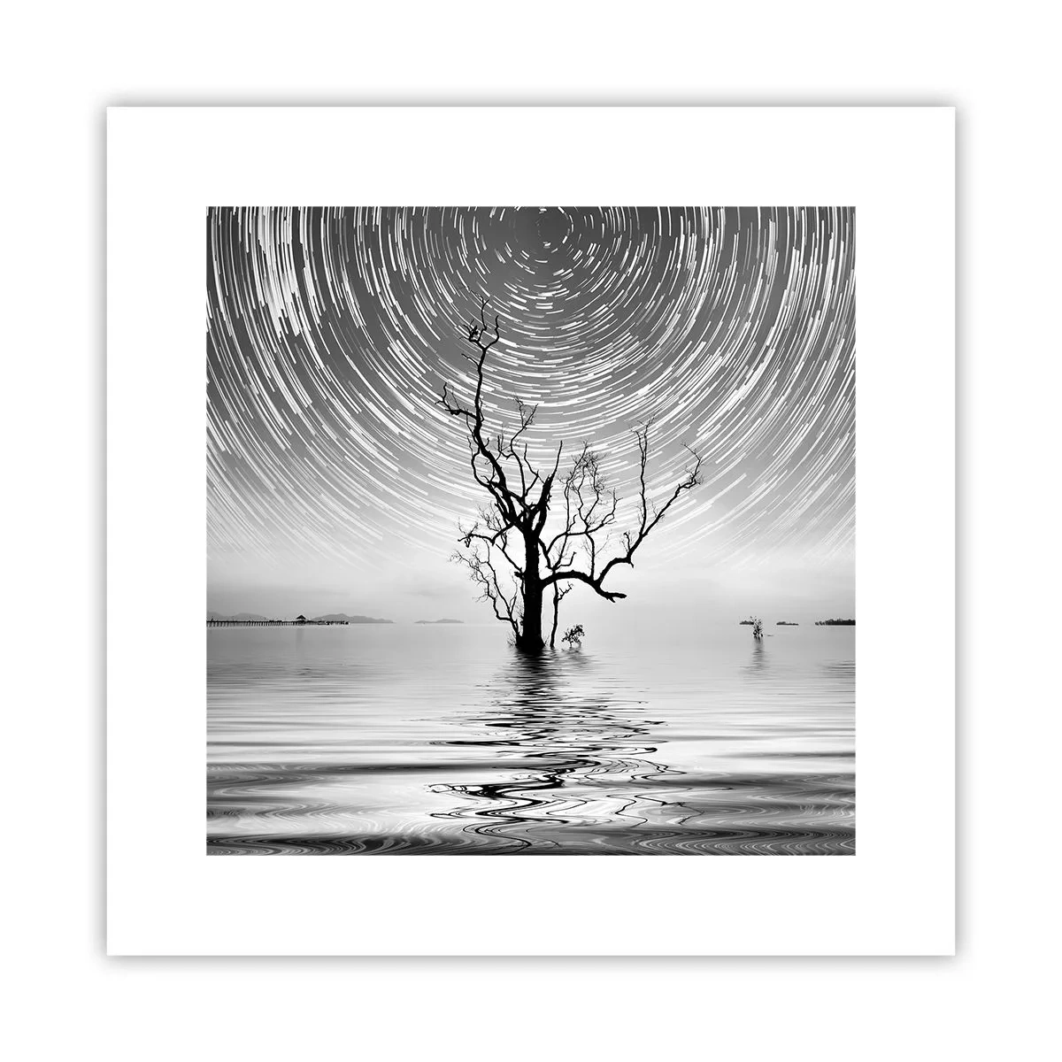 Pôster - Sinfonia da natureza - 30x30 cm