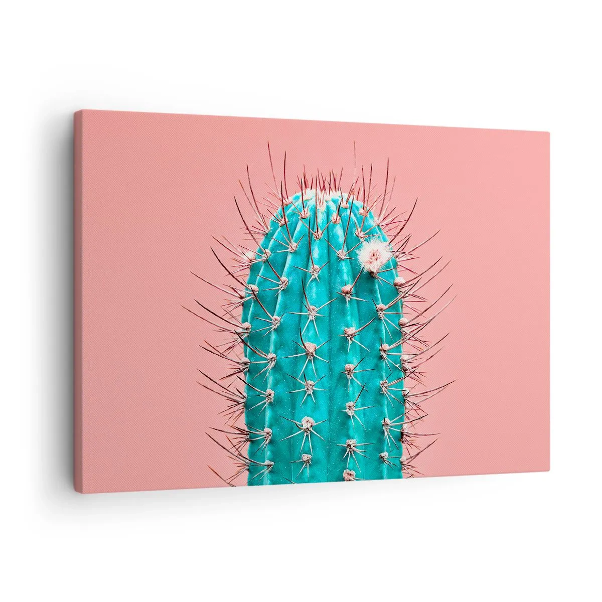 Quadro em tela - Uma abordagem artística de um cacto em um fundo rosa - 70x50cm - Apenas olhe - Decoração de parede moderna para a sala de estar e quarto ARTTOR