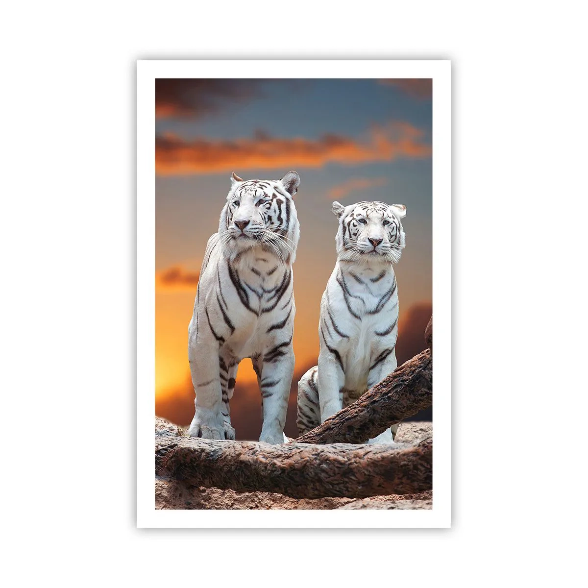 Pôster - Tal como em Nárnia - 61x91 cm