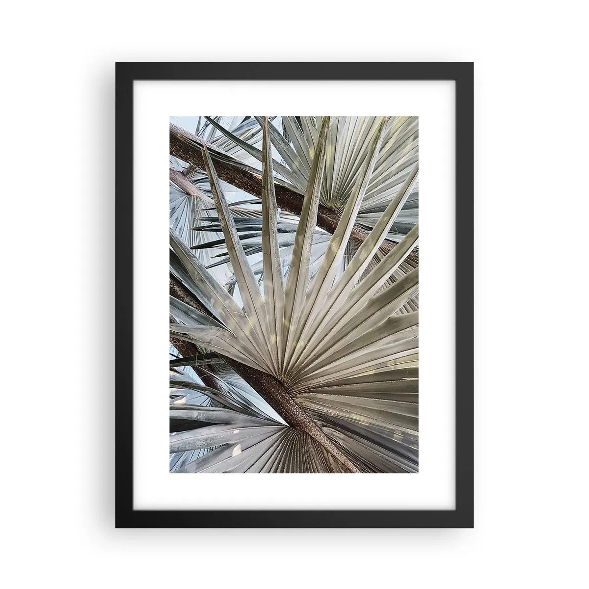 Pôster com moldura preta - Leques nos trópicos - 30x40 cm