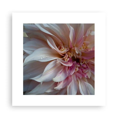 Pôster - Frescor florescente - 30x30 cm