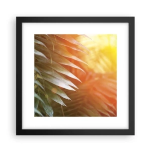 Pôster com moldura preta - Manhã na selva - 30x30 cm