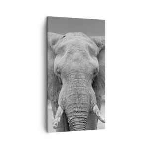 Quadro em tela - Bem-vindo ao meu mundo - 45x80 cm