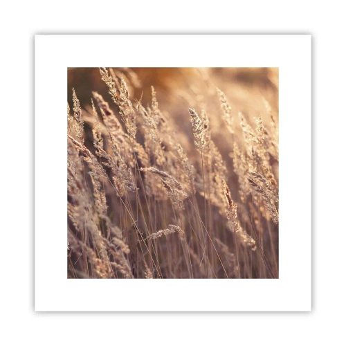 Pôster - Pronto para receber o outono - 30x30 cm