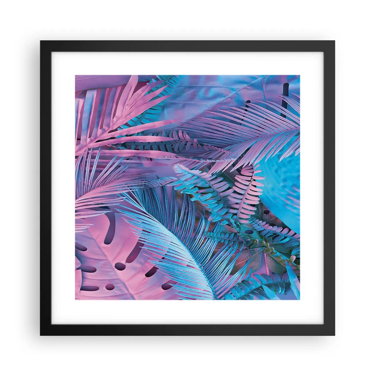 Pôster com moldura preta - Trópicos em rosa e azul - 40x40 cm