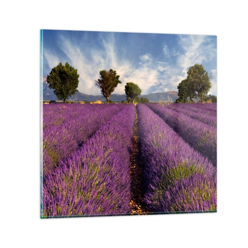 Quadro em vidro - Prados de lavanda - 40x40 cm