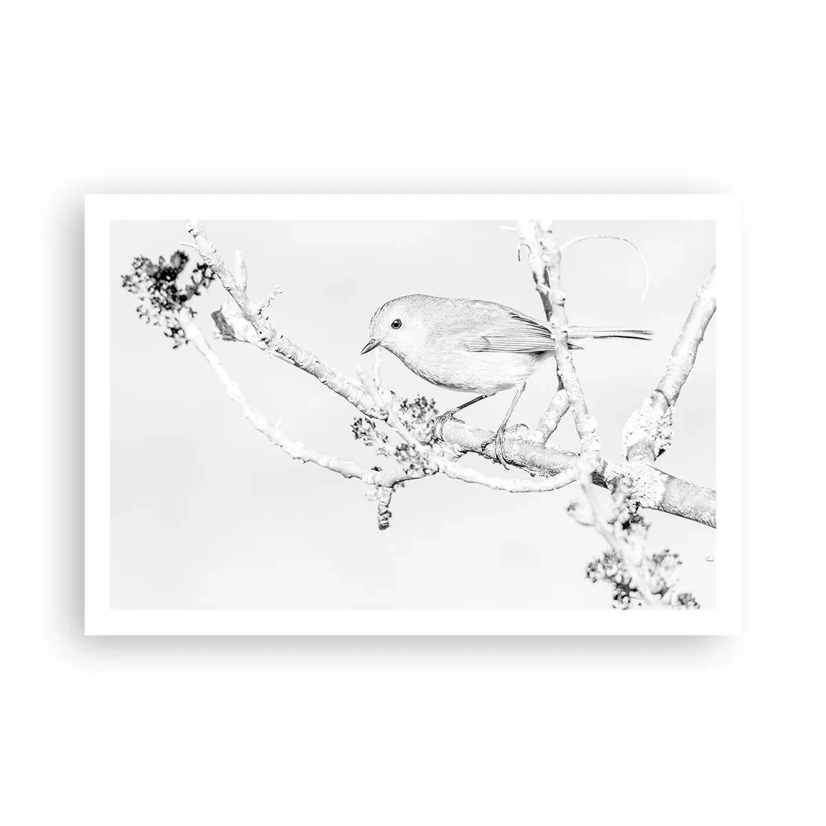 Pôster - Manhã de inverno - 91x61 cm