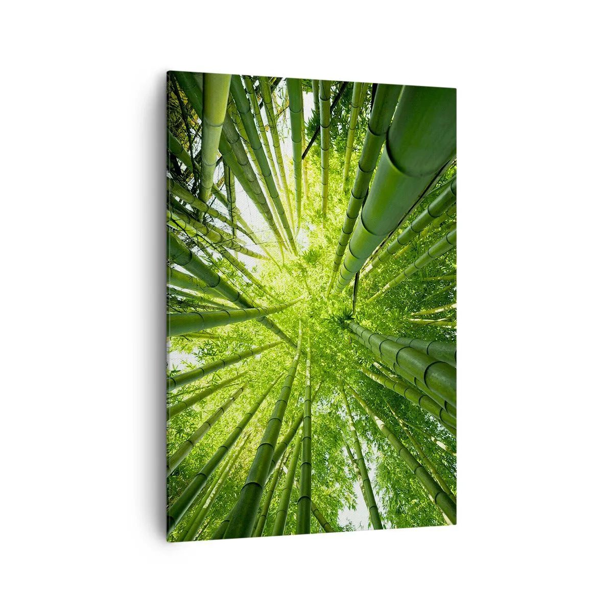 Quadro em tela - Em um bosque de bambu - 70x100 cm