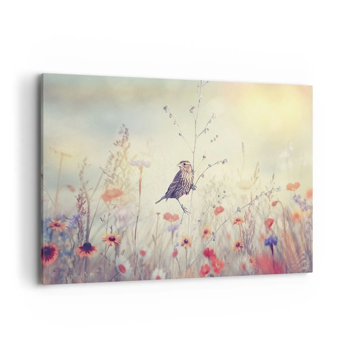 Quadro em tela - Retrato de um pássaro com um prado no fundo - 120x80 cm