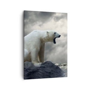 Quadro em tela - O Rei Solitário do Ártico - 50x70 cm