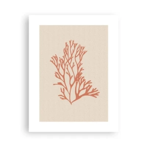 Pôster - Filigrana coral - 30x40 cm