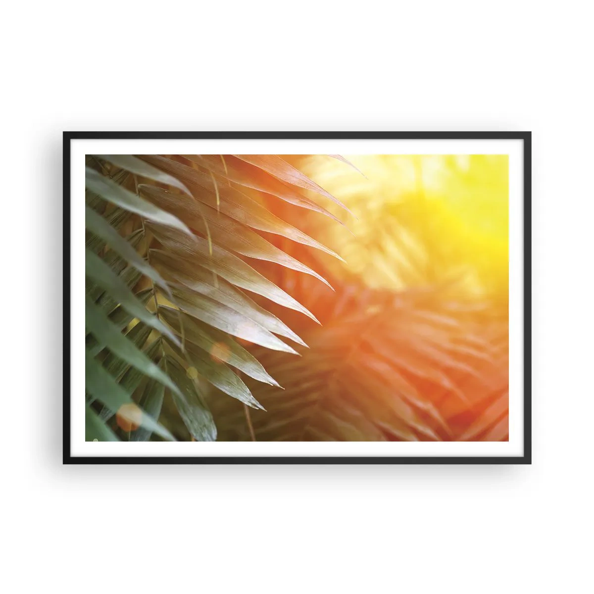 Pôster com moldura preta - Manhã na selva - 100x70 cm