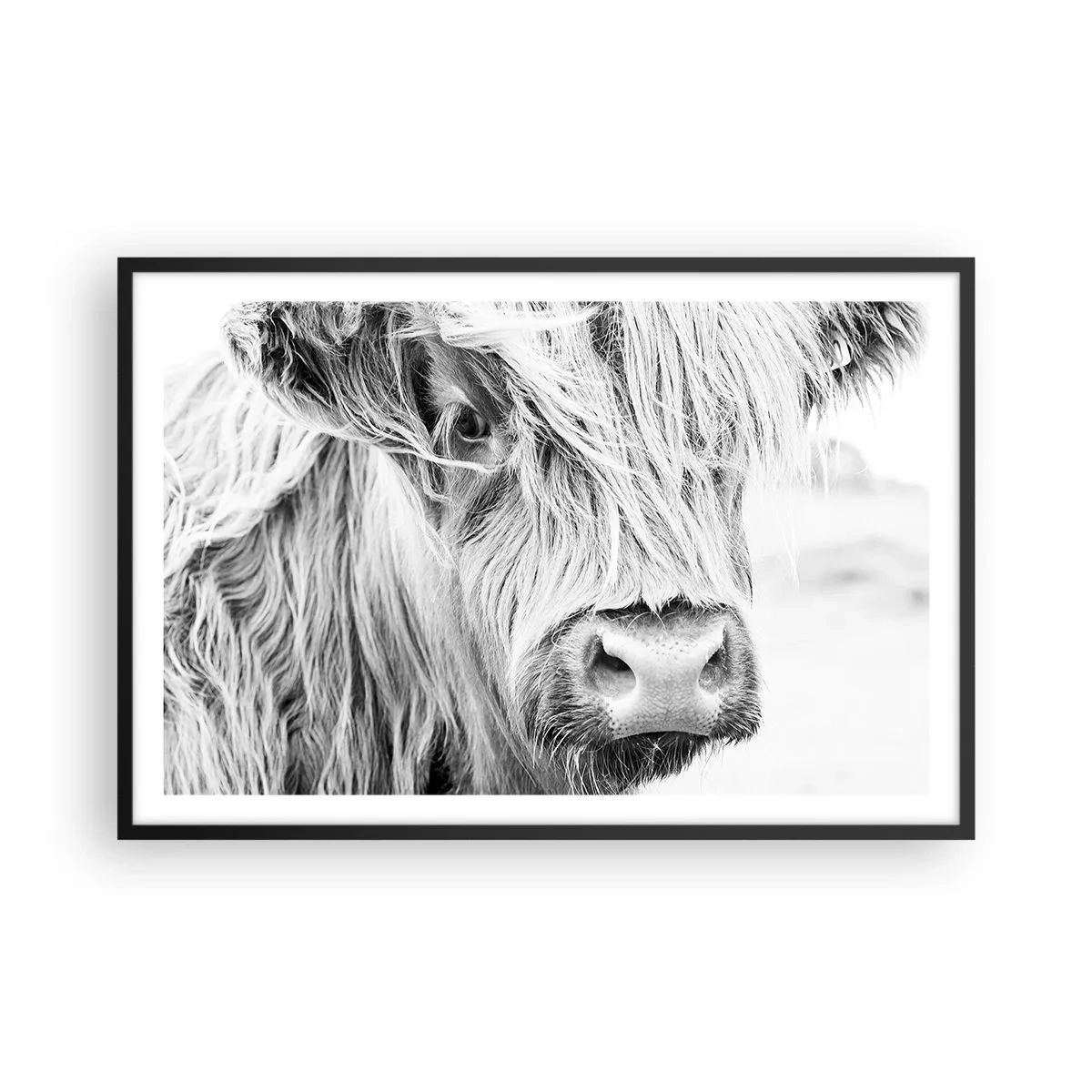 Pôster com moldura preta - Natureza selvagem escocesa - 91x61 cm