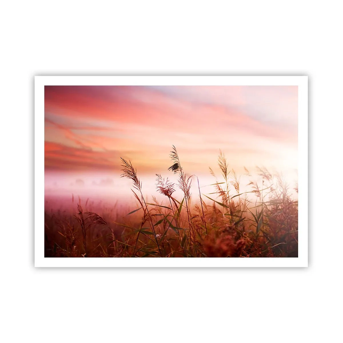 Pôster - Papagaios, balões, vento - 100x70 cm