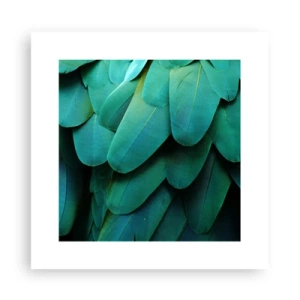 Pôster - Precisão de papagaio - 30x30 cm