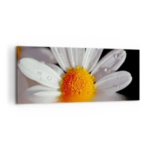 Quadro em tela - As margaridas do sol nascente - 100x40 cm