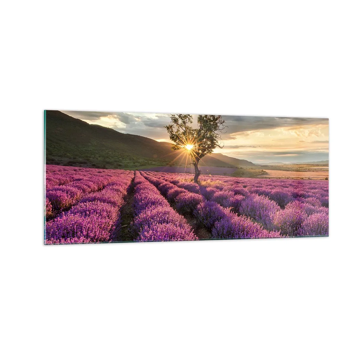 Quadro em vidro - Aroma lilás - 100x40 cm