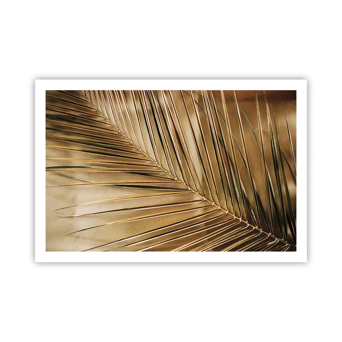 Pôster - Colunata natural - 91x61 cm