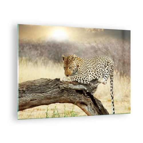 Quadro em vidro - Um leopardo descansando em um galho de madeira - 70x50cm - Eu sigo o meu próprio caminho - Decoração de parede moderna para a sala de estar e quarto ARTTOR