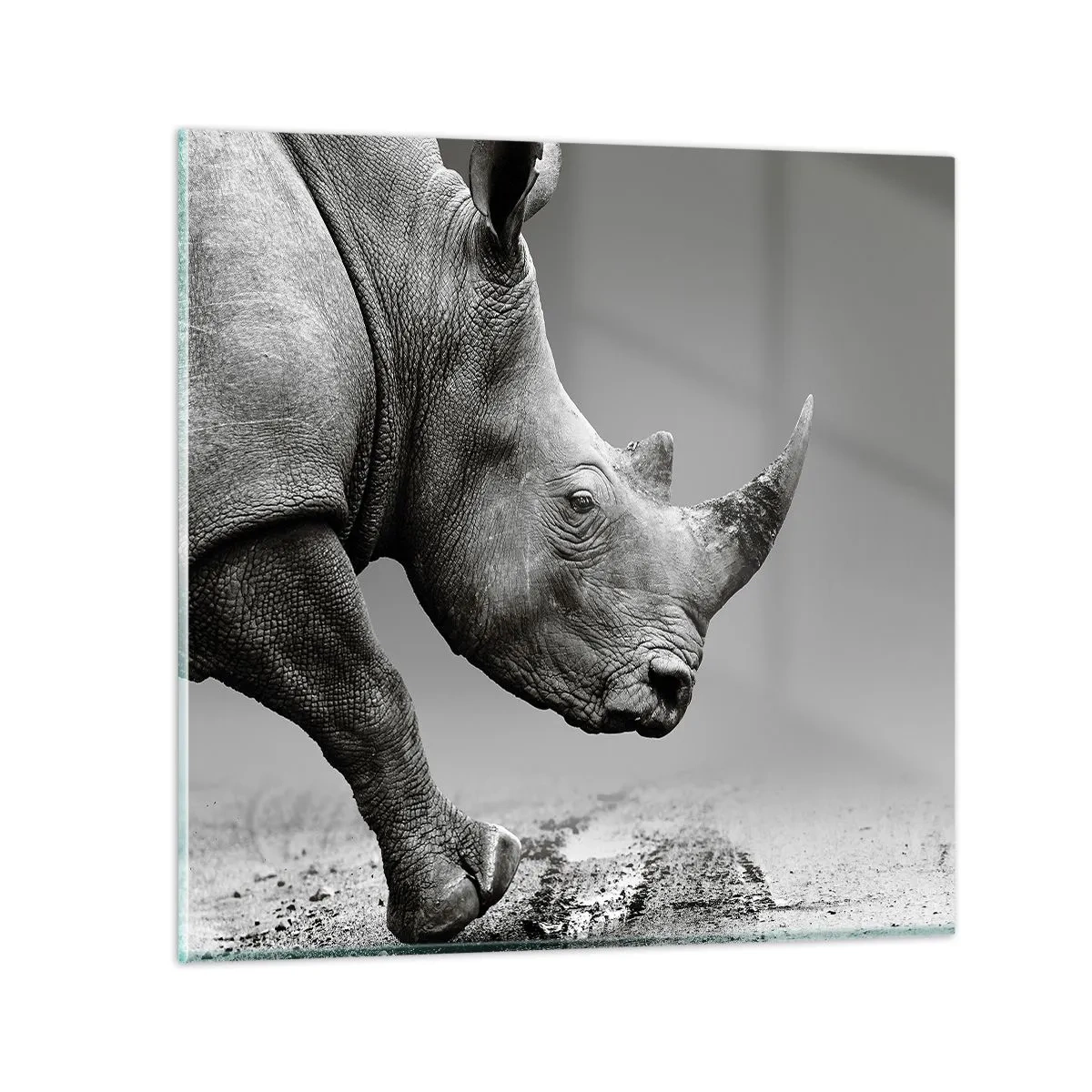 Quadro em vidro - Força imparável - 50x50 cm