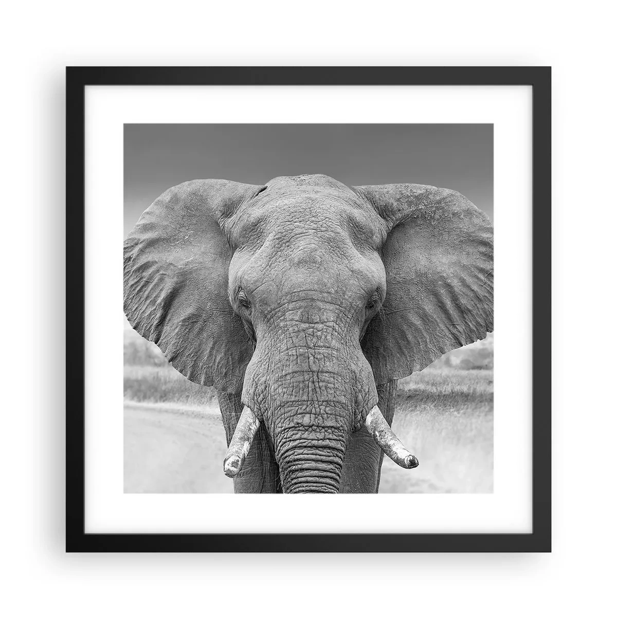 Pôster com moldura preta - Bem-vindo ao meu mundo - 40x40 cm